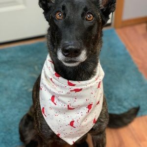 Handmade | Reversible Holiday Dog Tie Bandana